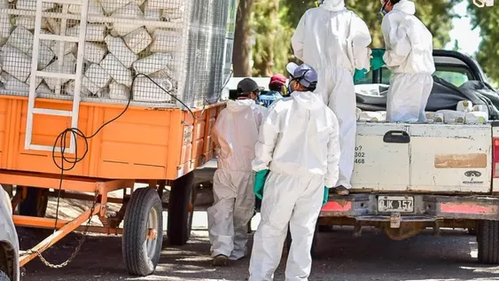 Sarmiento: limpian el campo y reciclan