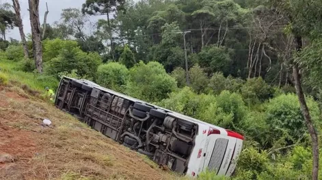 Identificaron a los 5 argentinos que murieron en una ruta de Brasil