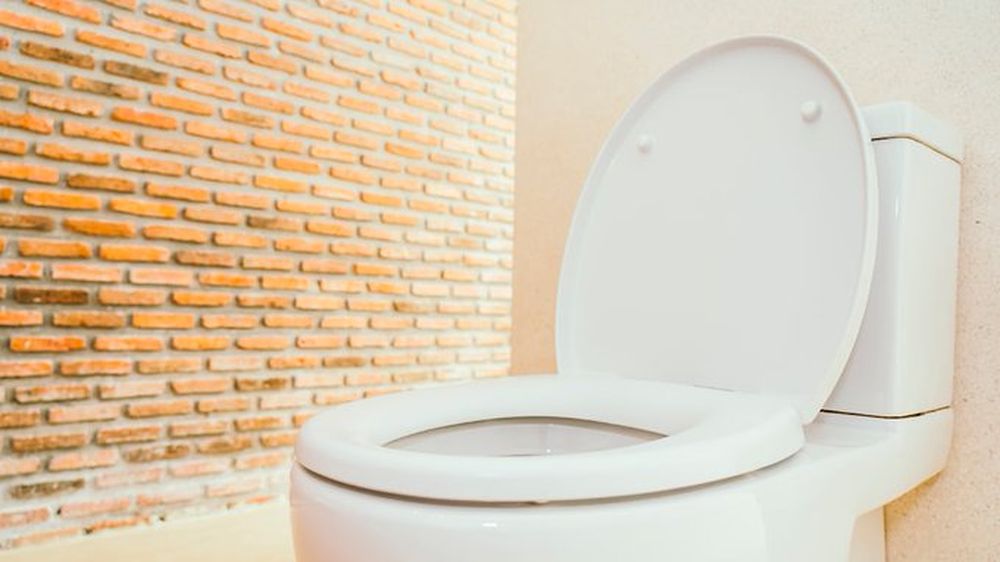 Lo que hoy desechamos en el inodoro podría transformarse en un recurso valioso para la salud.