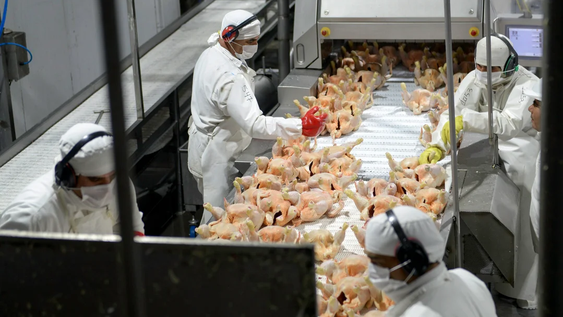 Un sector muy golpeado por la caída del consumo.