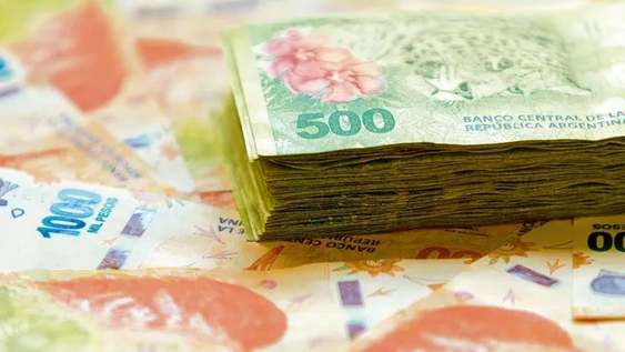 Bono de $50.000: cómo actualizar los datos en ANSES y empezar a cobrarlo en octubre