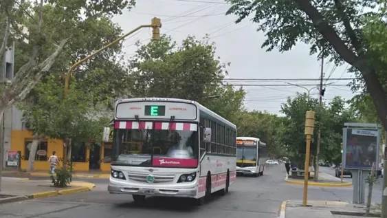 Entre dudas, caminatas y fluido movimiento de micros, la gente ya usa la Red Tulum
