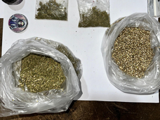 Las semillas de marihuana y el resto de las drogas secuestradas. Las semillas de marihuana y el resto de las drogas secuestradas.