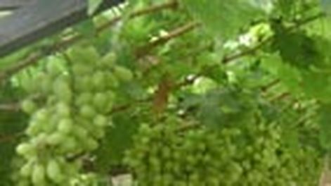 La pérdida de competitividad y un análisis de los últimos años