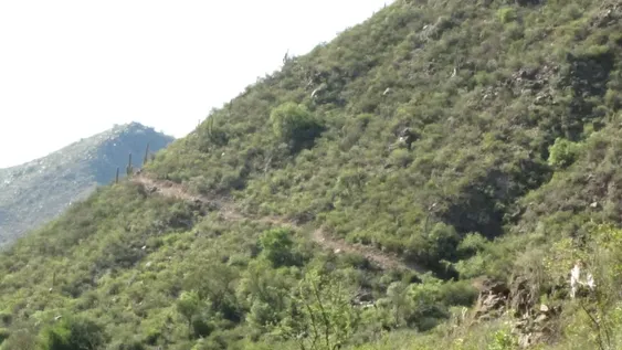 Ruta Angaco-Valle Fértil: en julio presentan los primeros proyectos