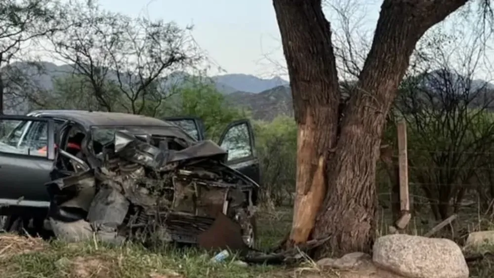 Tragedia en Ruta 40: un exintendente chocó en su camioneta contra un árbol y murió