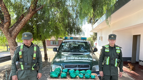 Gendarmería nacional secuestró hojas de coca.