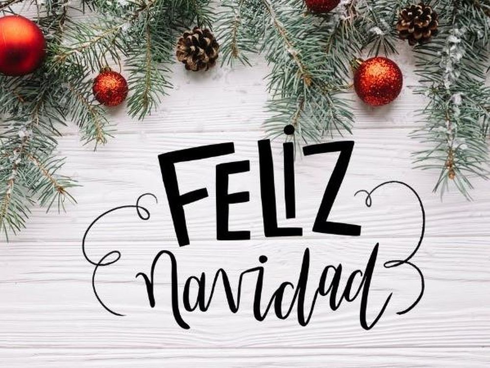 Jesús eligió el campo para nacer