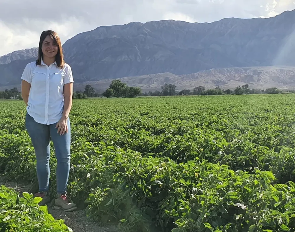 Plan de la fertilización a campo