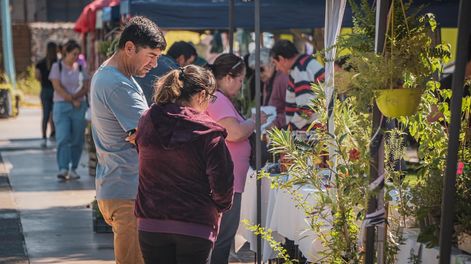 El sábado 11 de abril arranca el calendario de la Feria Agroproductiva de Pocito.