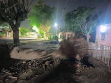 tras las rafagas de hasta 90 km/h en san juan, bomberos trabajaron intensamente para remover arboles y ramas caidas tras las rafagas de hasta 90 km/h en san juan, bomberos trabajaron intensamente para remover arboles y ramas caidas