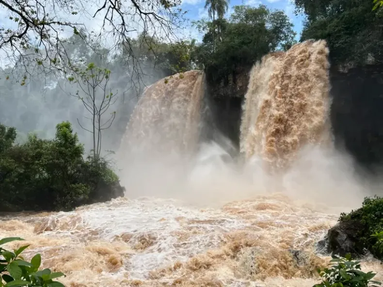 ¿El fenómeno de El Niño se extenderá hasta abril de 2027?: el Litoral, en alerta máxima
