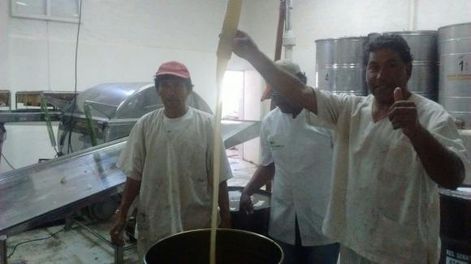 Una comunidad de la etnia huarpe logra cosechar excelente miel