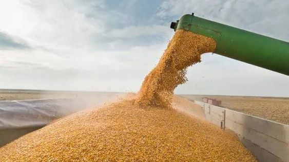 Expectativa por el dólar soja, en plena tensión cambiaria