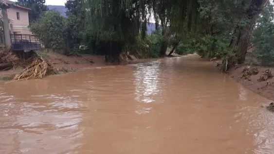 Cuantiosas pérdidas económicas causaron las lluvias continuas