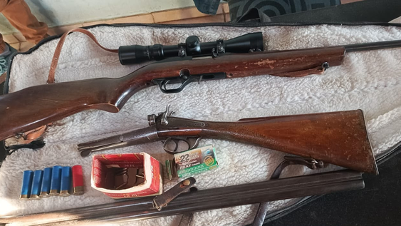 allanaron dos viviendas en 25 de mayo y secuestraron 11 aves autoctonas y dos armas