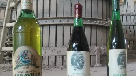 Diario de Cuyo | ddc160522 008f02 728x685.webp