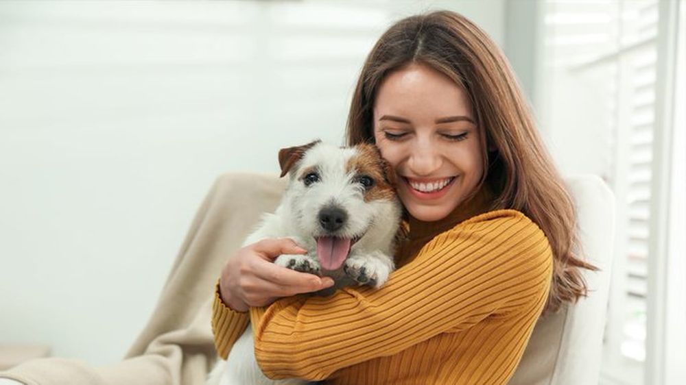 Las razones por las que tu perro te sigue a todos lados