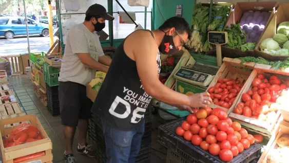 Por el aumento estacional y el dólar un cajón de tomate se disparó a $3.000