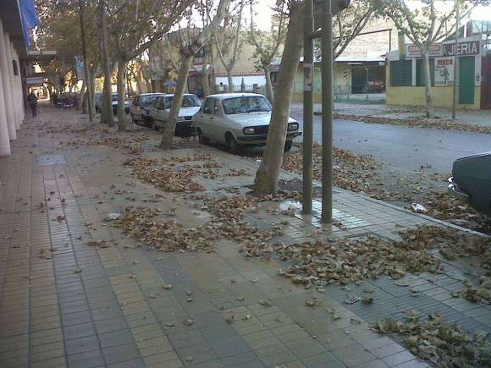 Un incendio destruyó un galpón en una finca de Rawson