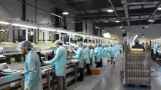 Los detalles del proyecto para convertir planes sociales en empleos