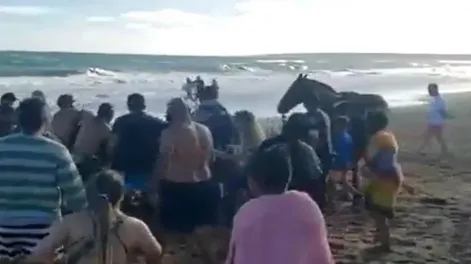 Bajó con su caballo a la playa y turistas casi lo linchan