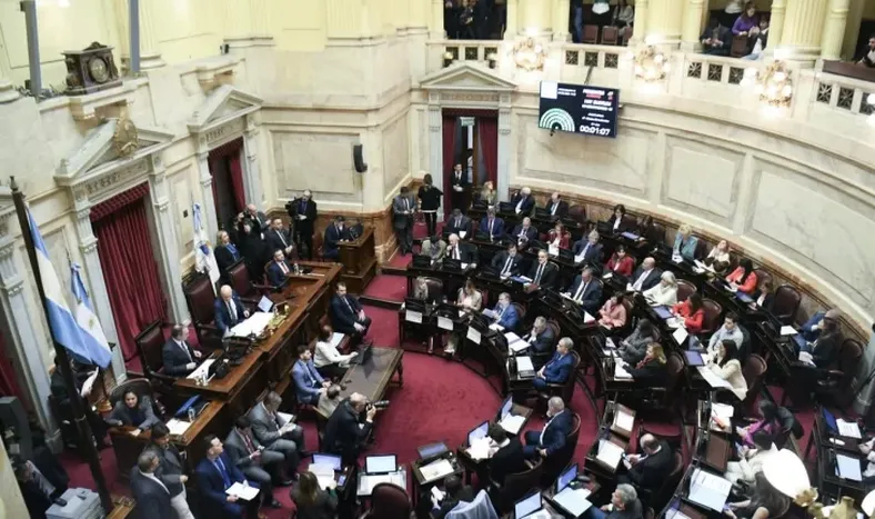 Voto dividido en San Juan por la ley de discapacidad: el Senado rechazó el veto de Milei