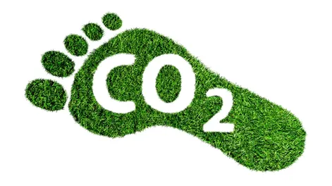 Diario de Cuyo | carbonoprincipal 728x410.webp
