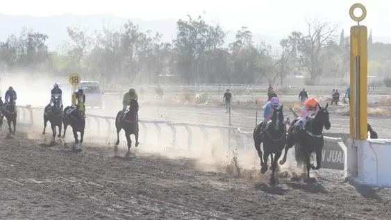 Asiatic Till sacó a relucir toda su estirpe