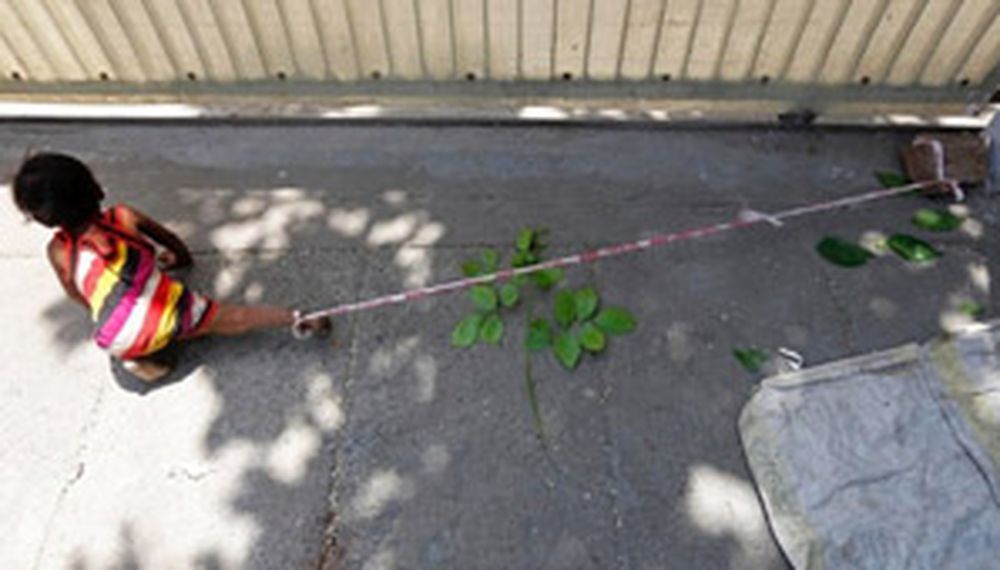 Padres atan a su bebé a una piedra mientras van a trabajar