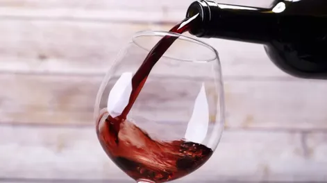 El Malbec en San Juan crece por encima del promedio nacional y gana protagonismo en el vino argentino