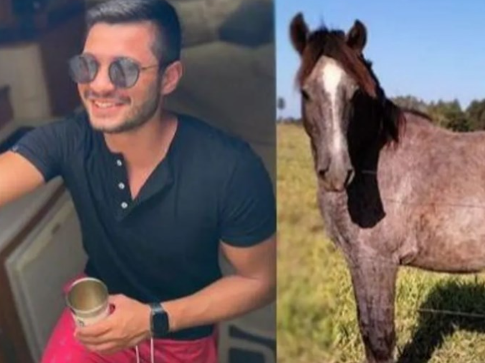 Alcoholizado, se metió en una subasta y compró un caballo: “Ni sé cuidar un perro”