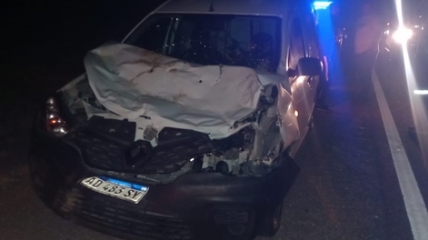 En la misma zona, se han registrado otros accidentes con animales sueltos. (Foto archivo)