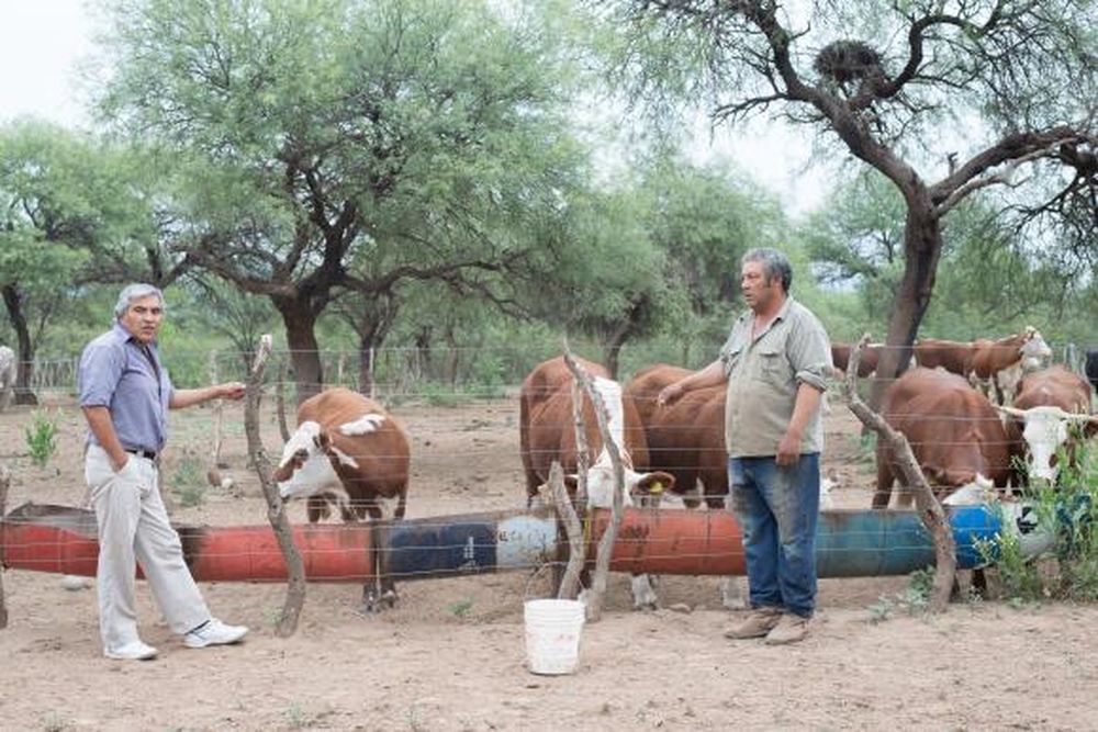 Preservación del bosque nativo y ganadería con rentabilidad