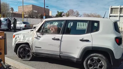 Una conductora estrelló su camioneta contra un árbol en la puerta de Urgencias del Hospital Rawson