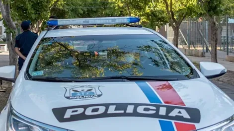 Le robó una balanza a un vecino, lo descubrieron, escapó y se hizo el dormido para no caer