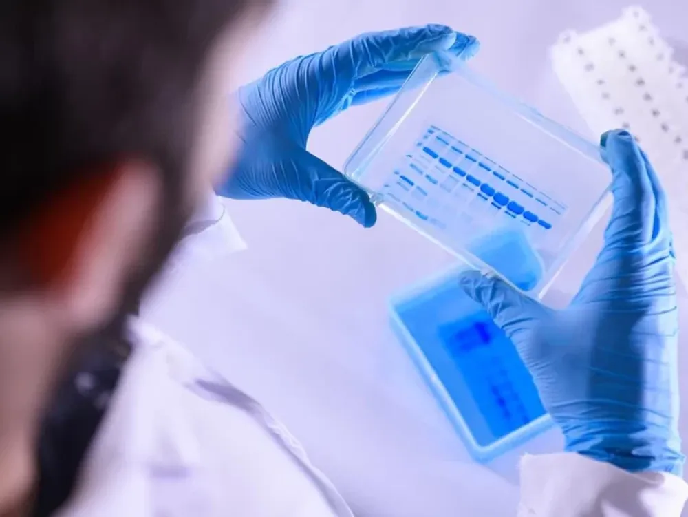 Las subvariantes de Ómicron BQ.1 y BQ.1.1 crecen en EEUU