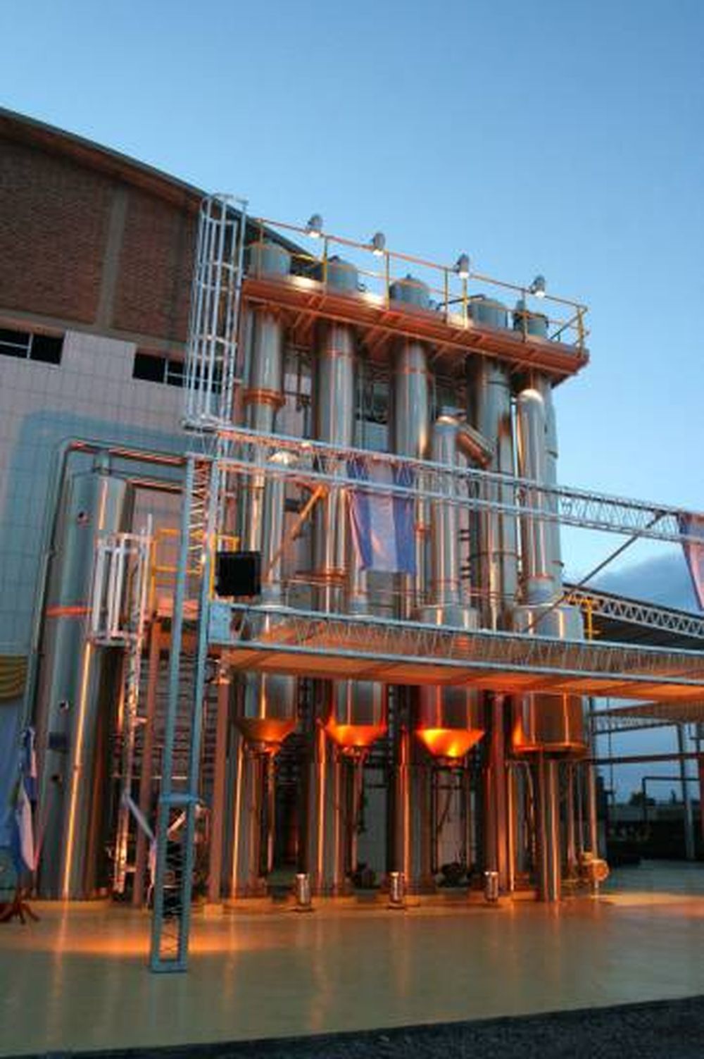 Mañana, el cupo para mosto