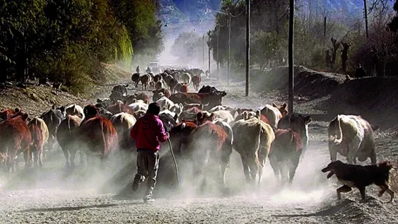 Arte y testimonio sin filtros