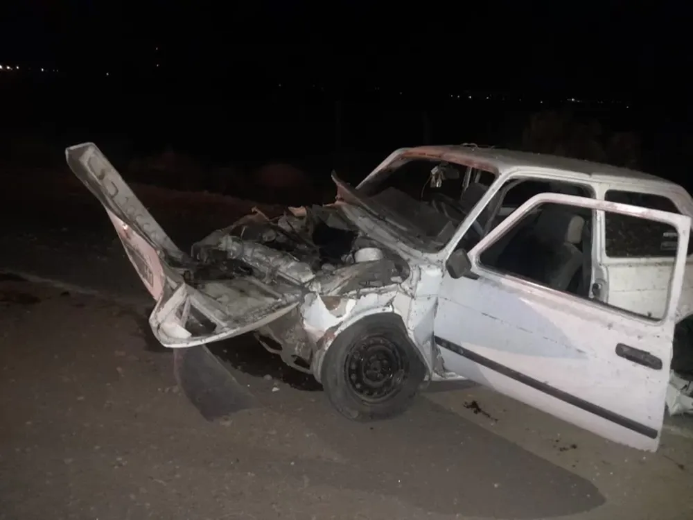Se quedó dormido y se estrelló contra un árbol
