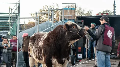 Los primeros en La Rural