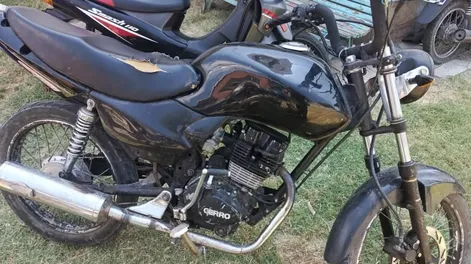 Allanamientos en Angaco por carreras clandestinas: secuestraron motos y animales autóctonos