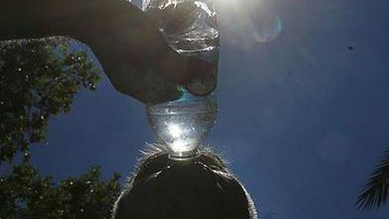 En medio de la ola de calor, la semana arranca con 40 grados de máxima