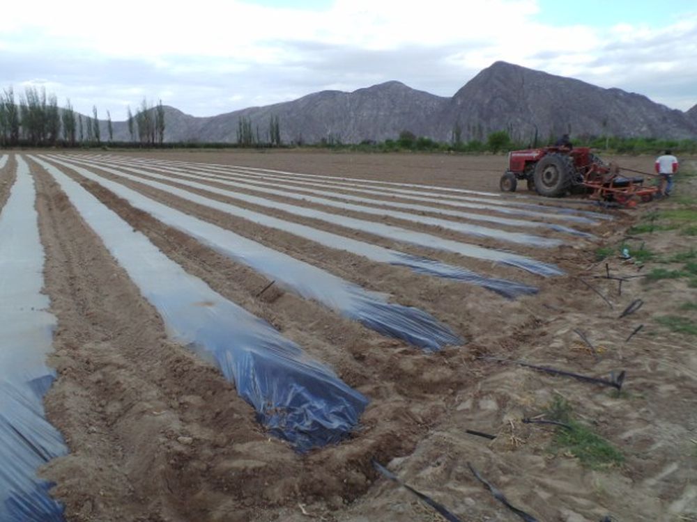Producción para optimizar los riegos en las fincas