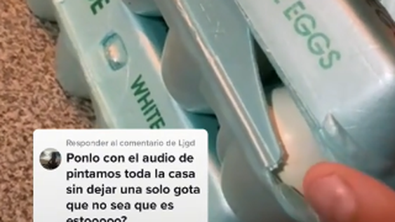 Abrió una caja de huevos y se ganó una mascota