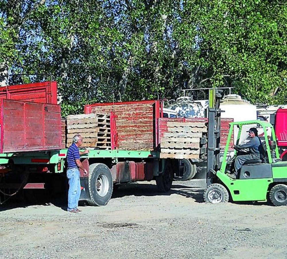 La reactivación del transporte carretero sería para el 2017