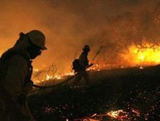 Incendios Forestales. Incendios Forestales.