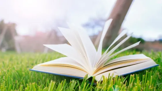 Libros para disfrutar y leer sin parar