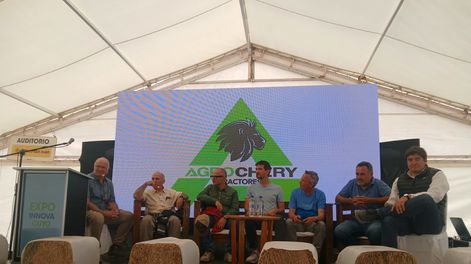 Referentes de la producción, la comercialización y la investigación del ajo compartieron mesa en el auditorio Banco San Juan de Expo Innova Cuyo. El diagnóstico fue unánime: sin recuperar superficie, el sector sanjuanino seguirá a merced de los precios que marque China.