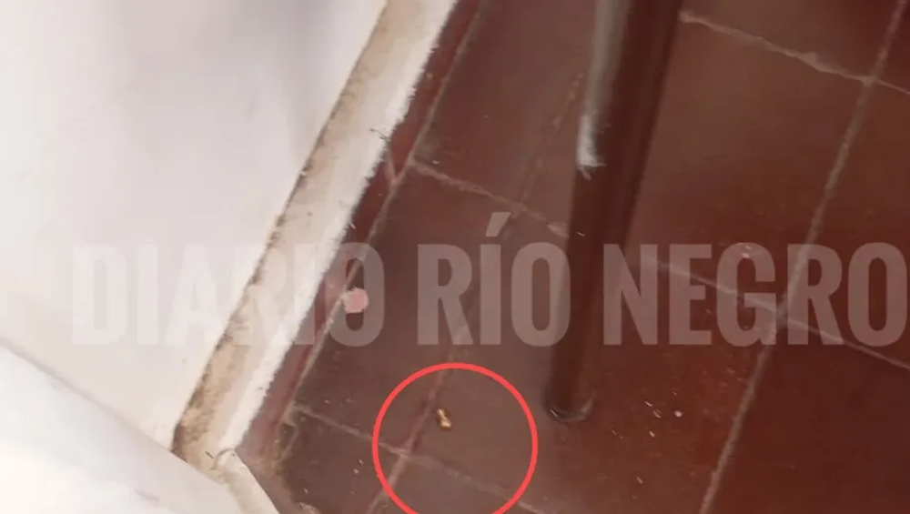 Un alumno de 13 a&ntilde;os fue baleado por un compa&ntilde;ero dentro de una escuela de Neuqu&eacute;n.